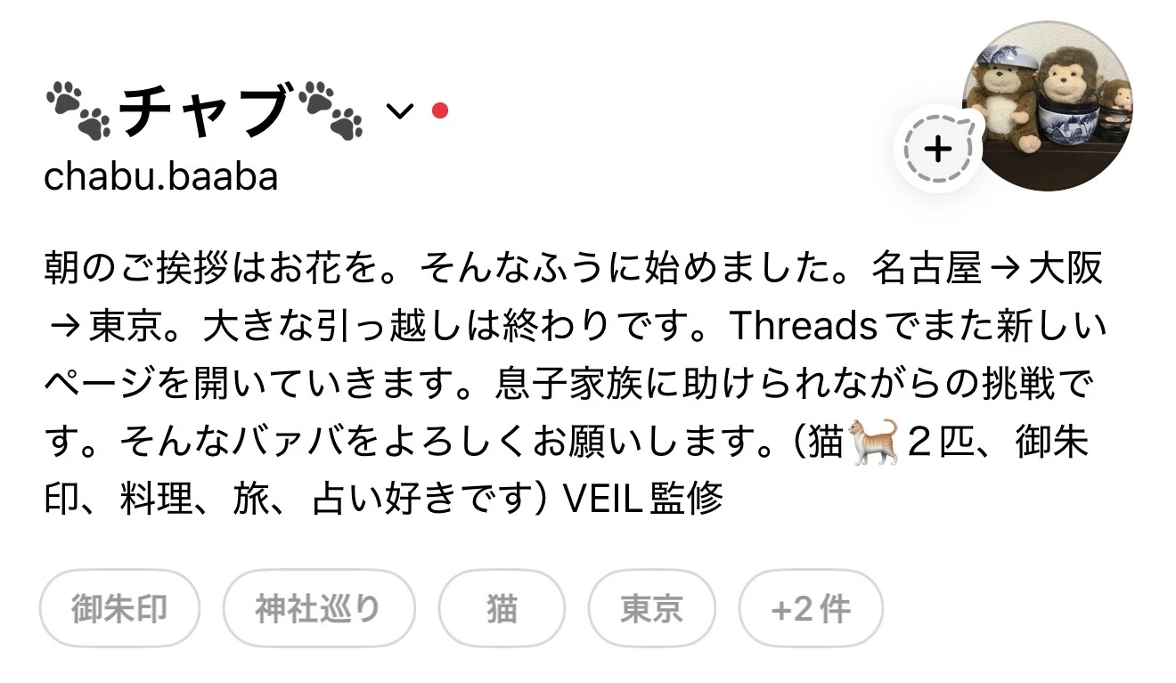 ChabuのThreadsプロフィール -- 御朱印・神社巡り・猫・料理好きのVEIL監修者